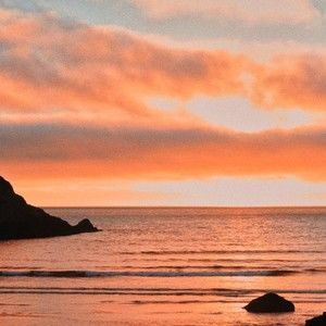 Meet your Posher, Suzanne